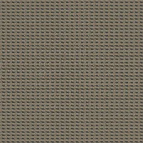 Cross Dye - Almond - 4009 - 04 - Half Yard