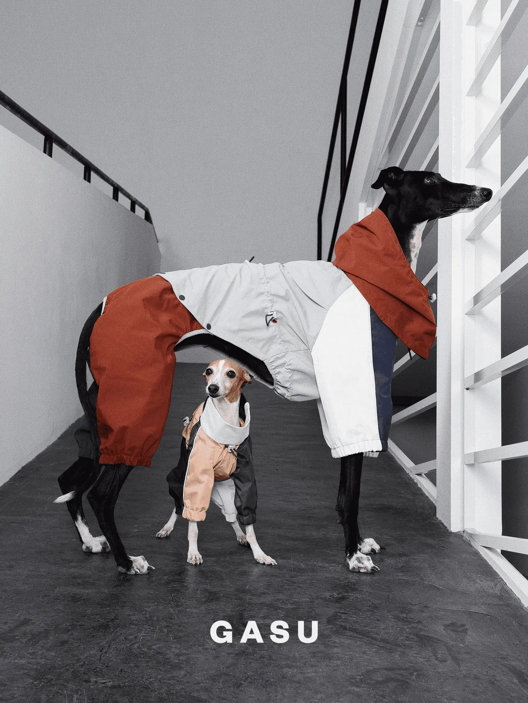 Detachable 4-Leg Dog Raincoat | Brick Blue