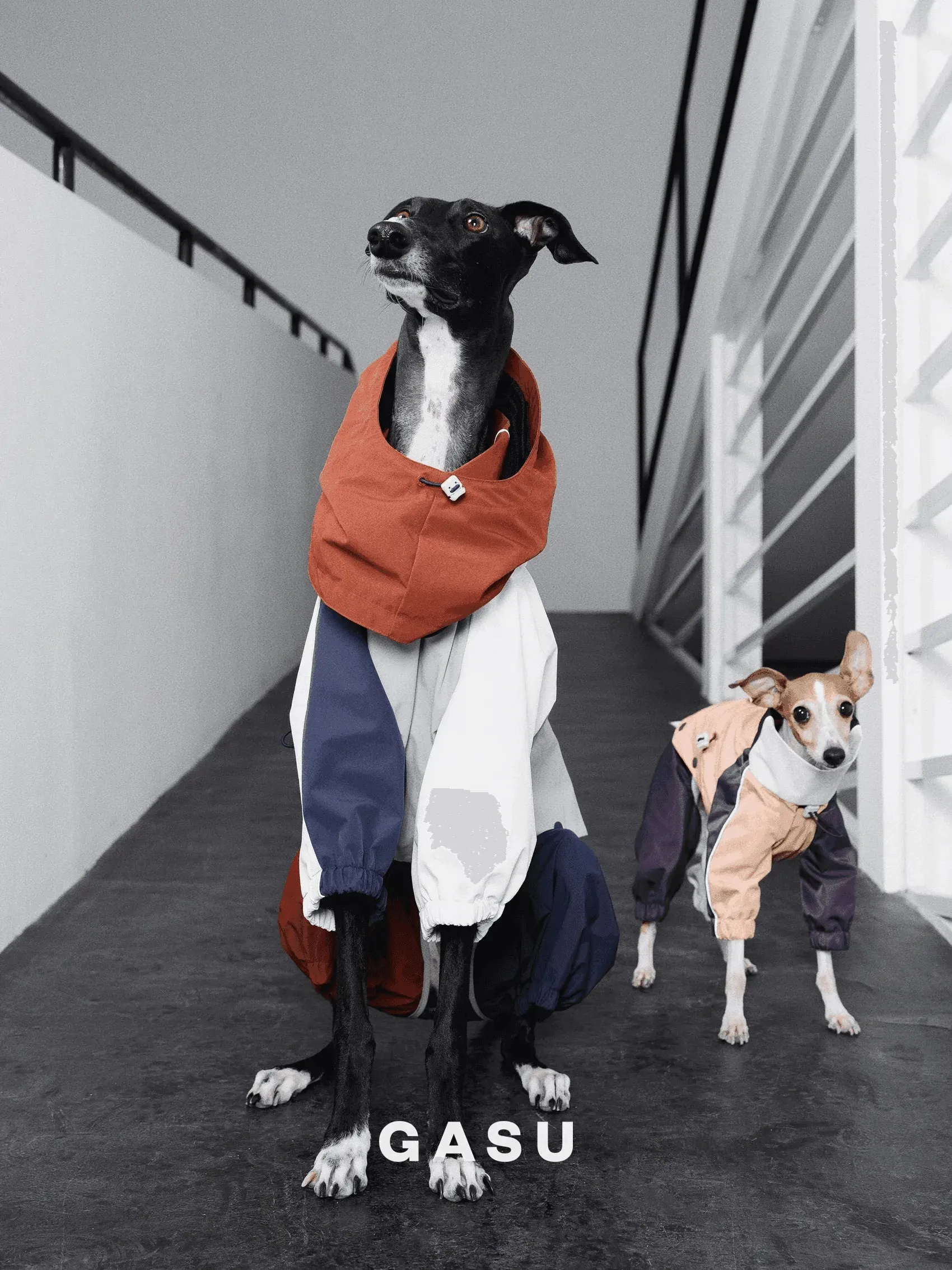 Detachable 4-Leg Dog Raincoat | Brick Blue