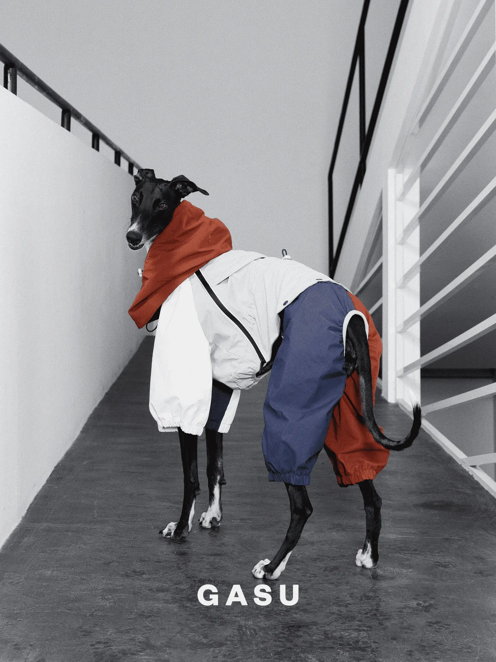 Detachable 4-Leg Dog Raincoat | Brick Blue