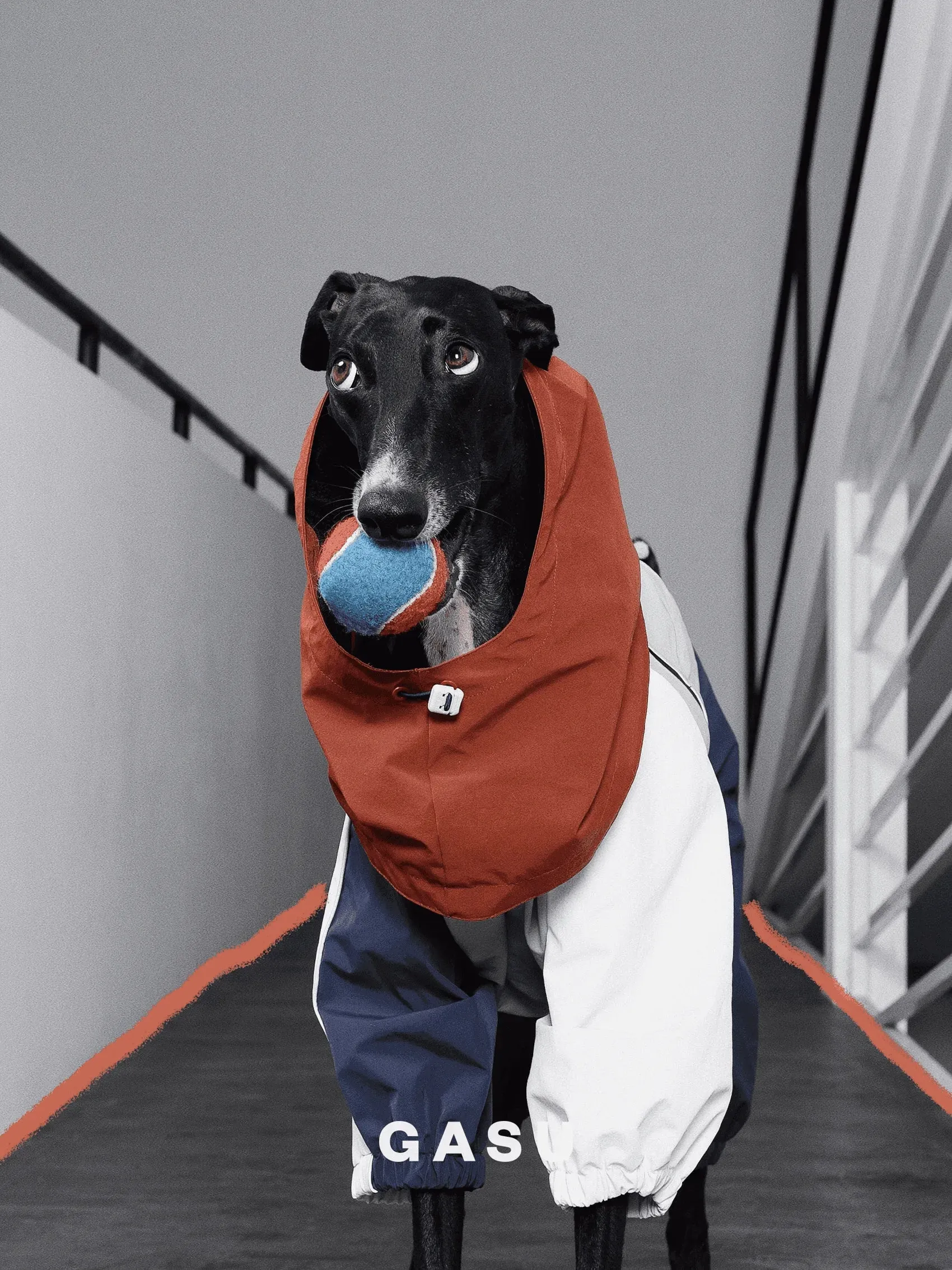 Detachable 4-Leg Dog Raincoat | Brick Blue