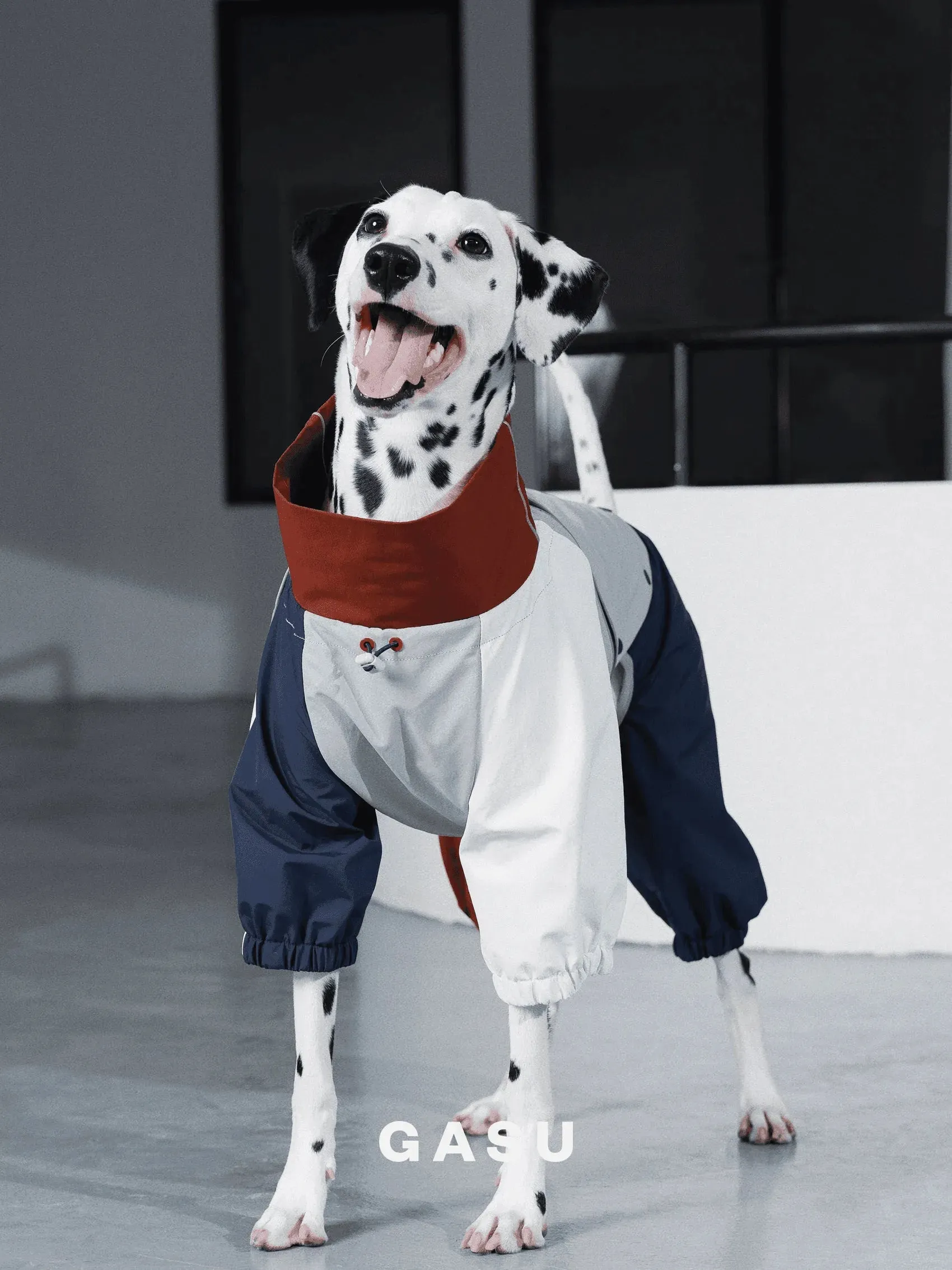 Detachable 4-Leg Dog Raincoat | Brick Blue