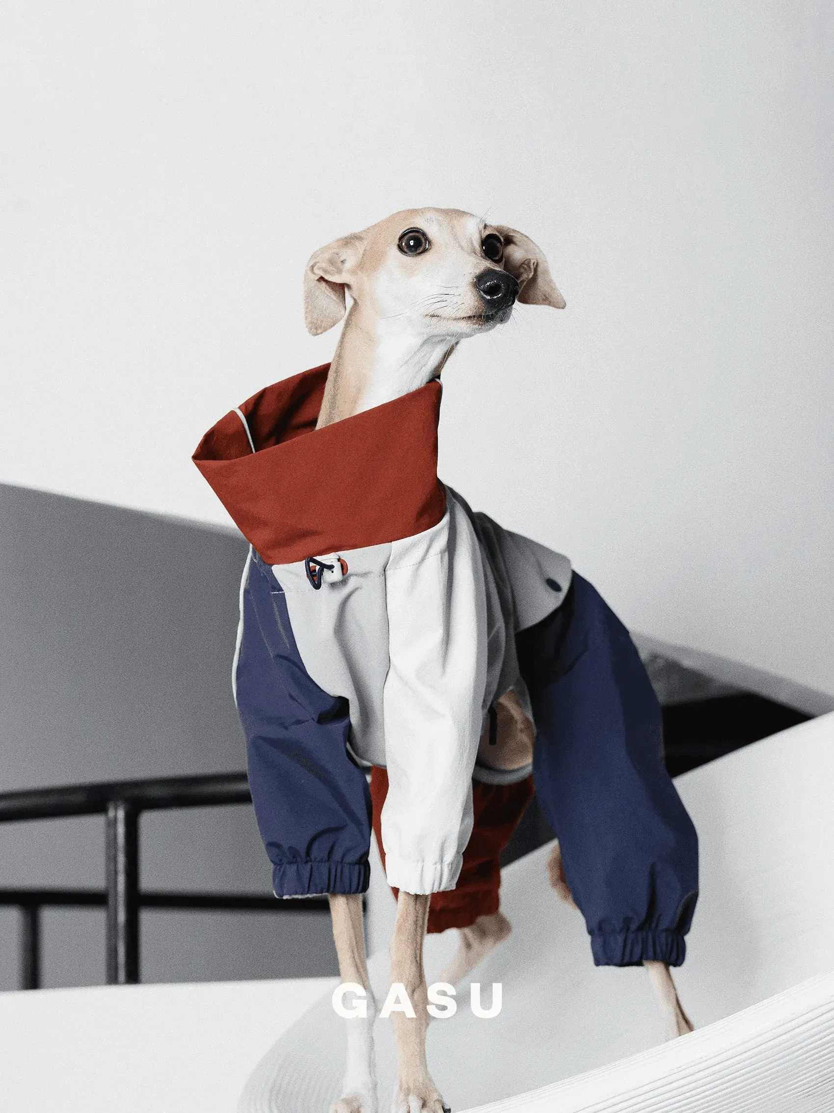 Detachable 4-Leg Dog Raincoat | Brick Blue