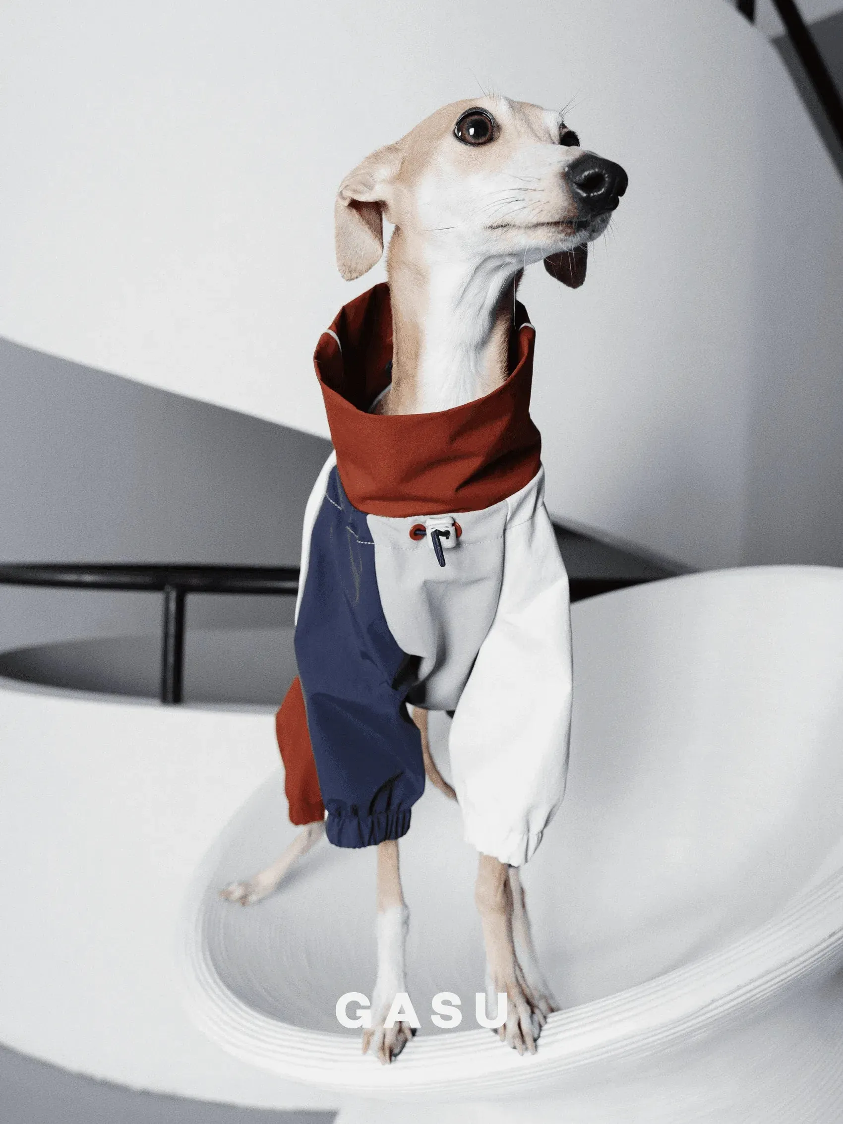 Detachable 4-Leg Dog Raincoat | Brick Blue