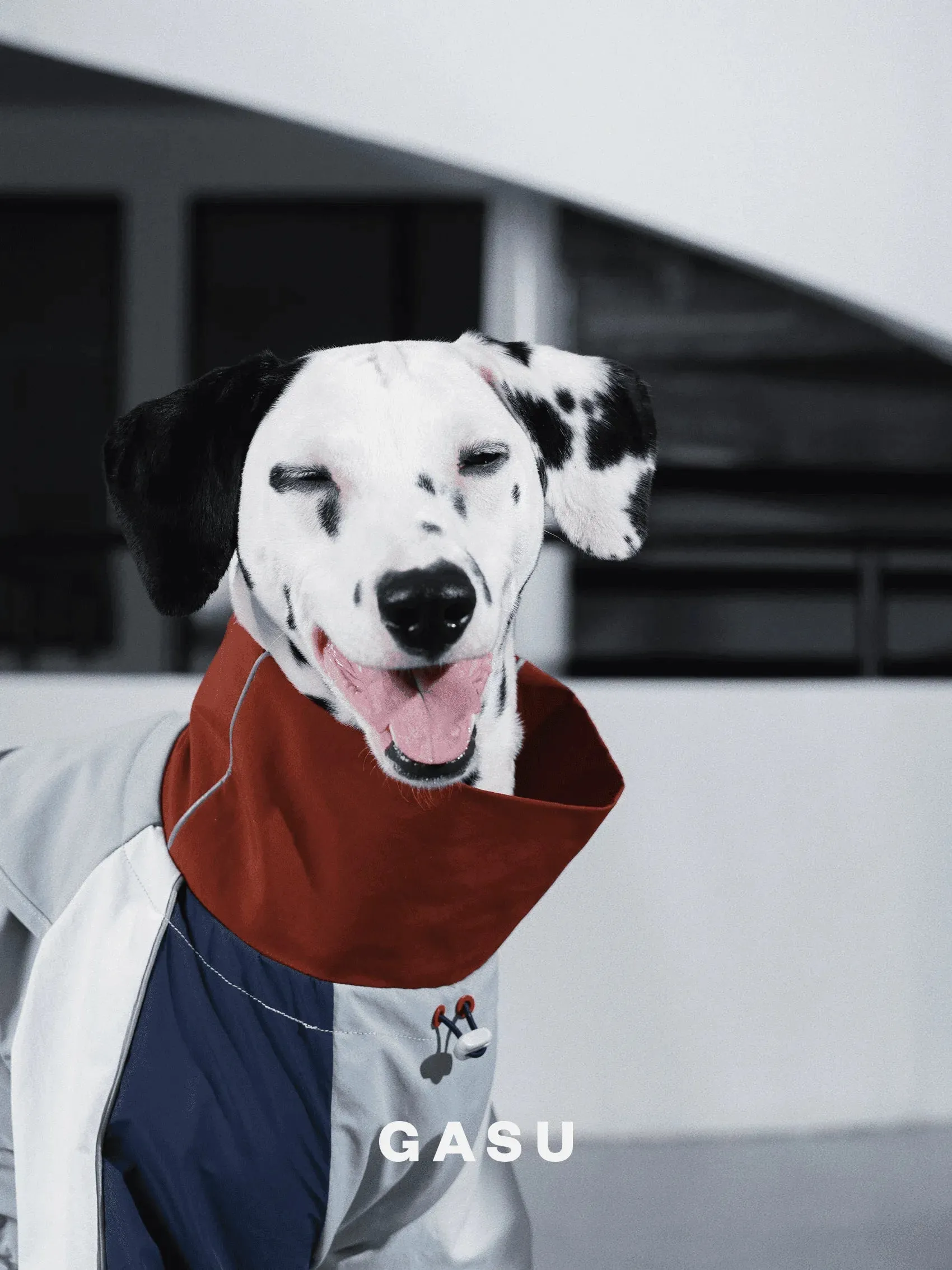 Detachable 4-Leg Dog Raincoat | Brick Blue